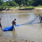 Activités de pêche (9)