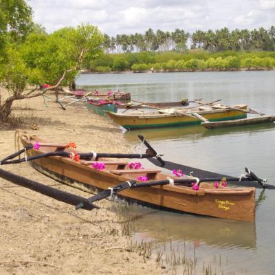 Nos bateaux