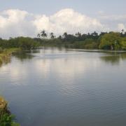 Le Kongo River