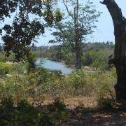 Le Kongo River vu du village