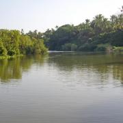 Le Kongo River sauvage