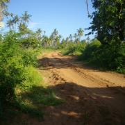 Les alentours de la ferme