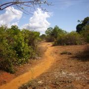 Les alentours de la ferme (10)