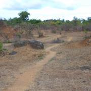 Les alentours de la ferme (11)