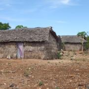 Les alentours de la ferme (12)