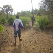 Trekking dans le bush