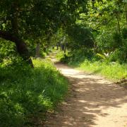 Les alentours de la ferme (4)