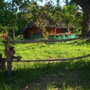 oasis de verdure (1)